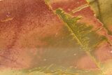 Polished Cherry Creek Jasper - China #318963-1
